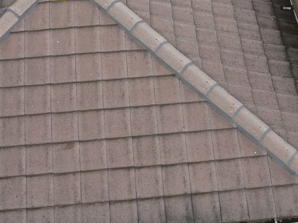 Chipped roof tiles noted across the roof covering, found during a pre-purchase inspection in Berwick, 10 km from Clyde